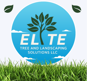 Elite Tree Landscaping LLC (2)