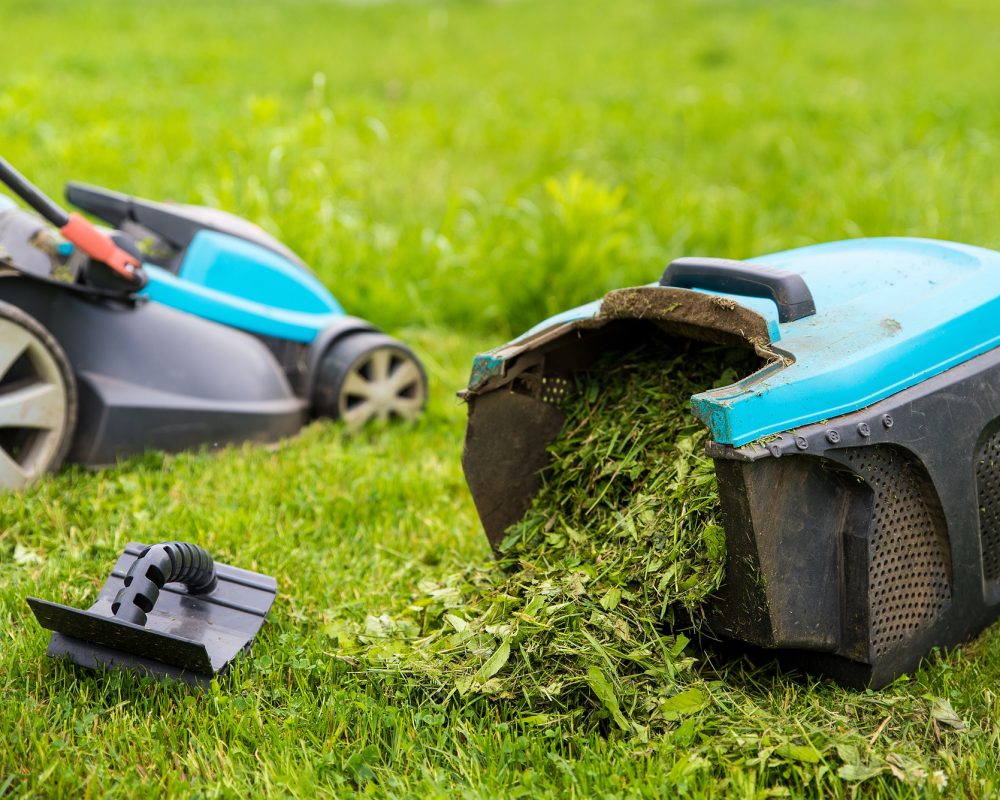 Lawn mower machine in garden, grass box filled with grass Lawn mower machine in garden, grass box filled with grass